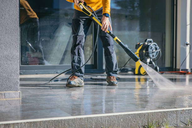 Best Solar Panel Cleaning  in Rancho Alegre, TX